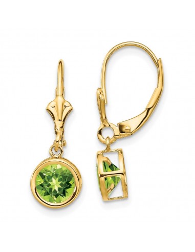 14k 6mm Peridot Leverback Earrings Les êtres humains sont 