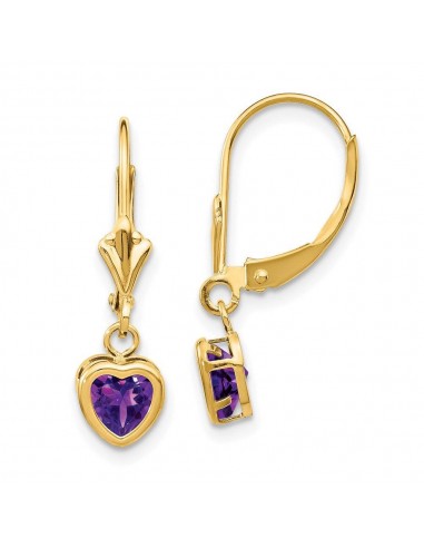 14k 5mm Heart Amethyst Earrings Comparez et commandez 