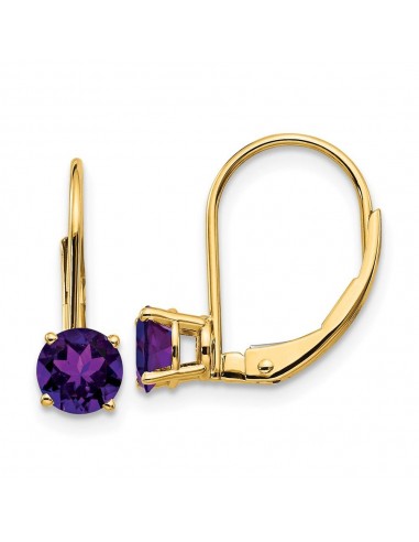 14k 5mm Amethyst Leverback Earrings Comparez plus de prix