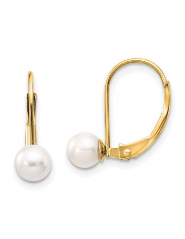 14k 5-5.5mm Pearl Leverback Earring Mounting suggérées chez