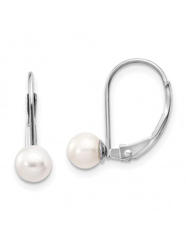 14k White Gold 5-5.5mm Pearl Leverback Earring Mounting plus qu'un jeu 