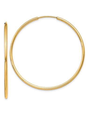 14k 1.5mm Polished Round Endless Hoop Earrings 2 - 3 jours ouvrés.