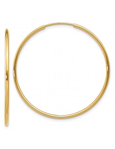 14k 1.25mm Endless Hoop Earring des créatures d'habitude