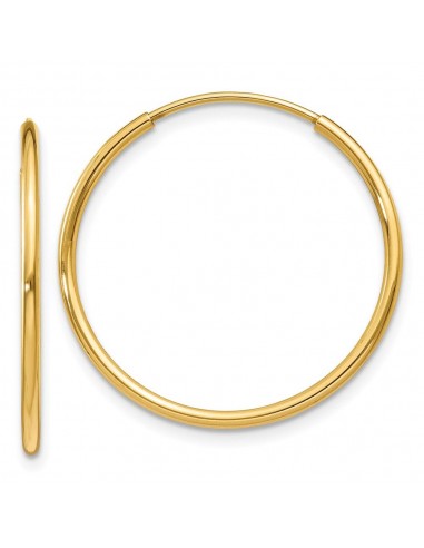 14k 1.25mm Endless Hoop Earring de technologie