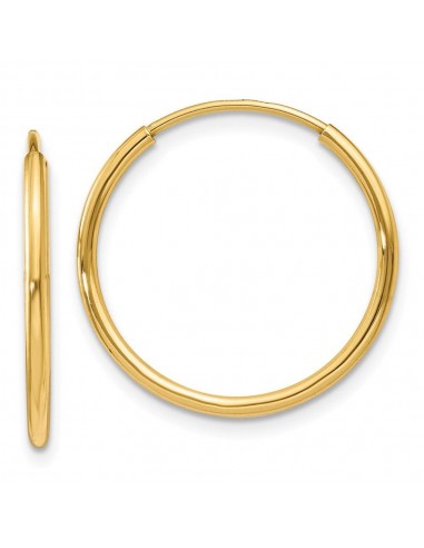 14k 1.25mm Endless Hoop Earring Dans la société mordern