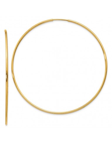 14k 1.25mm Endless Hoop Earring Venez acheter