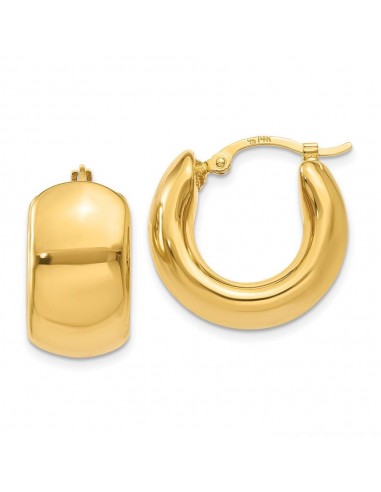 14k Wide Puffed Hoop Earrings l'évolution des habitudes 