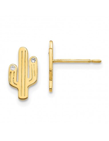 14K Cactus CZ Stud Earrings Véritable concentré