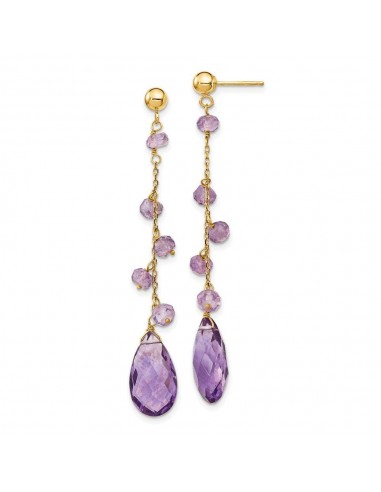 14k Amethyst Dangle Earrings de France