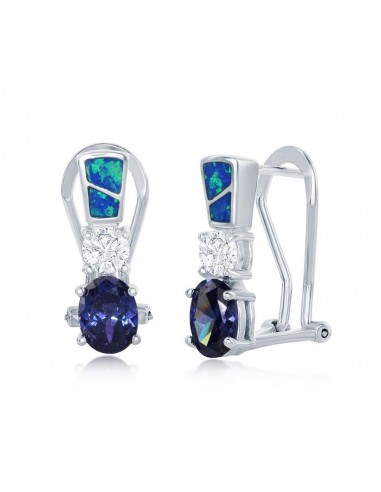 Sterling Silver Blue Inlay Opal Tanzanite Earrings brillant des détails fins