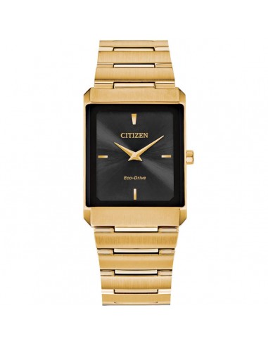 Citizen Unisex Eco Drive Watch - Stiletto Yellow Gold Bracelet | AR3102-51E Economisez 