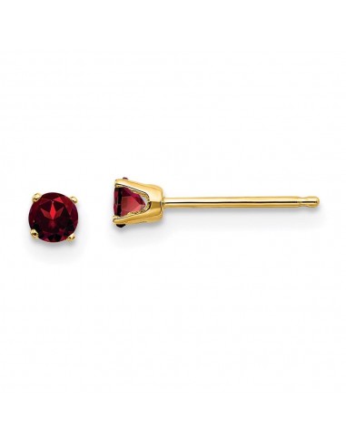 14k 3mm January/Garnet Post Earrings suggérées chez