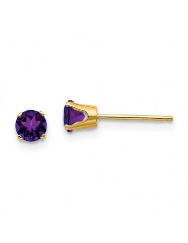 14k 4mm February/Amethyst Post Earrings prix