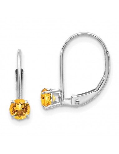 14k White Gold 4mm Round November/Citrine Leverback Earrings les ligaments