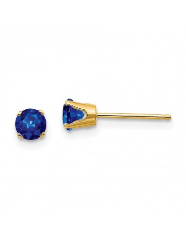 14k 4mm September/Sapphire Post Earrings de votre