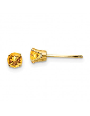 14k 4mm November/Citrine Post Earrings livraison gratuite