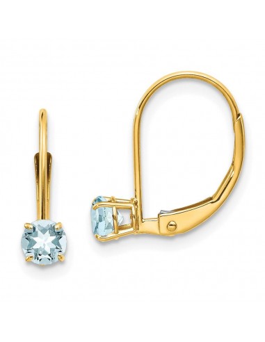 14k Aquamarine Earrings - March prix