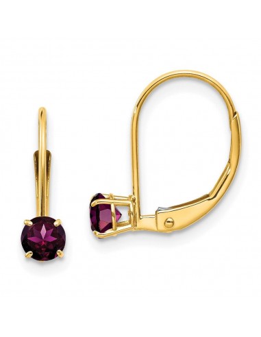 14k 4mm Round June/Rhodolite Leverback Earrings français