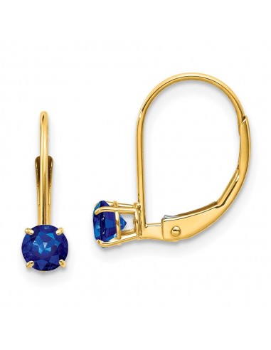 14k 4mm Round September/Sapphire Leverback Earrings paiement sécurisé