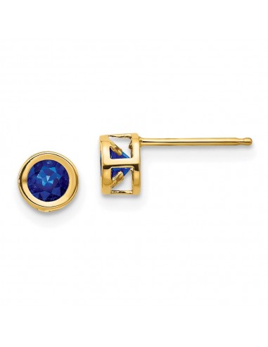 14k Sapphire Earrings - September JUSQU'A -70%! 