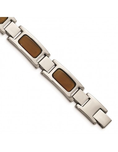 Stainless Steel Polished with Tiger's Eye 8.5in Bracelet la colonne vertébrale