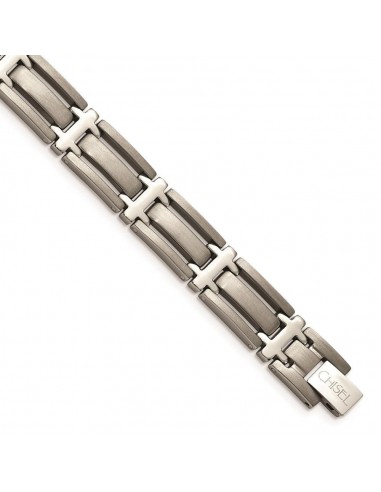 Titanium Brushed and Polished 8.75in Bracelet les ligaments