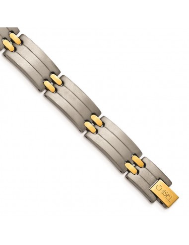 Titanium Yellow IP-Plating 8.5in Bracelet Voir les baskets