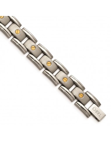 Titanium with 14k Inlay Accent Bracelet offre 