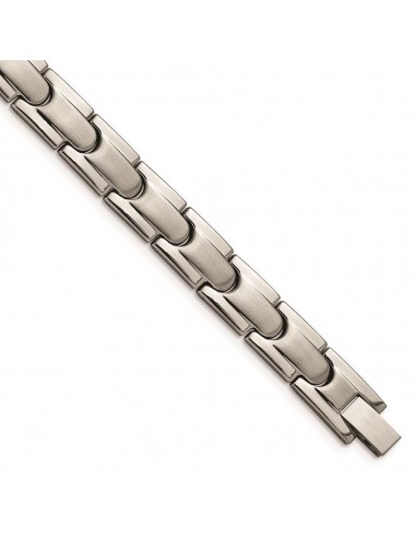 Titanium Brushed and Polished w/Syn. Germanium 8.5in Link Bracelet Livraison rapide