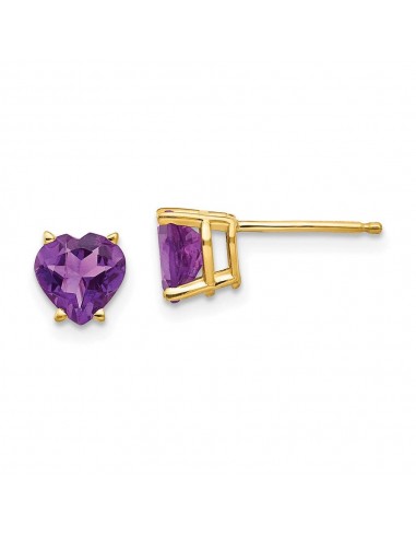 14k 6mm Heart Amethyst Earrings l'évolution des habitudes 