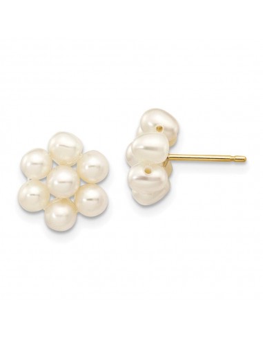 14k 3-4mm White Egg Freshwater Cultured Pearl Flower Earrings Livraison rapide