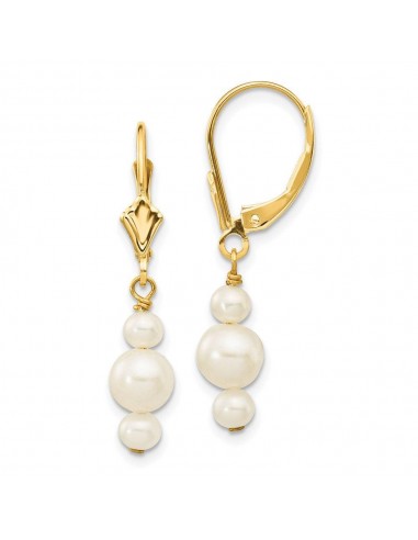 14K 3-3.5mm & 5-5.5mm Semi-Round FWC Pearl Leverback Dangle Earrings Livraison rapide