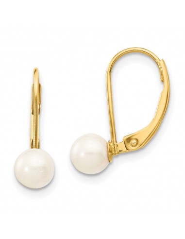 14k 5-6mm White Round Saltwater Akoya Cultured Pearl Leverback Earrings sélection de produits