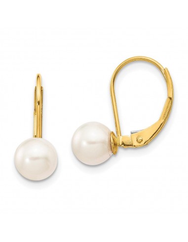 14k 6-7mm White Round Saltwater Akoya Cultured Pearl Leverback Earrings pas cher chine